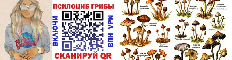 Псилоцибиновые грибы прущие грибы  blacksprut ссылка  Усмань  где купить наркоту 