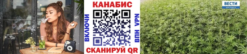 Бошки Шишки Amnesia  магазин продажи   Усмань 